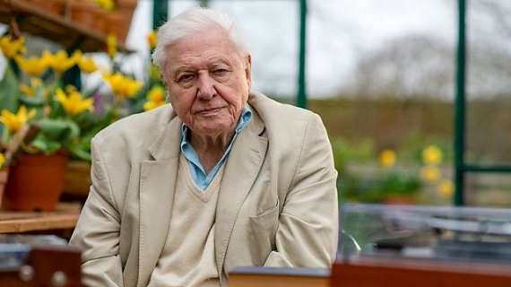 David’s Double Feature: The Green Planet: Water Worlds + Attenborough’s Wonder of Song