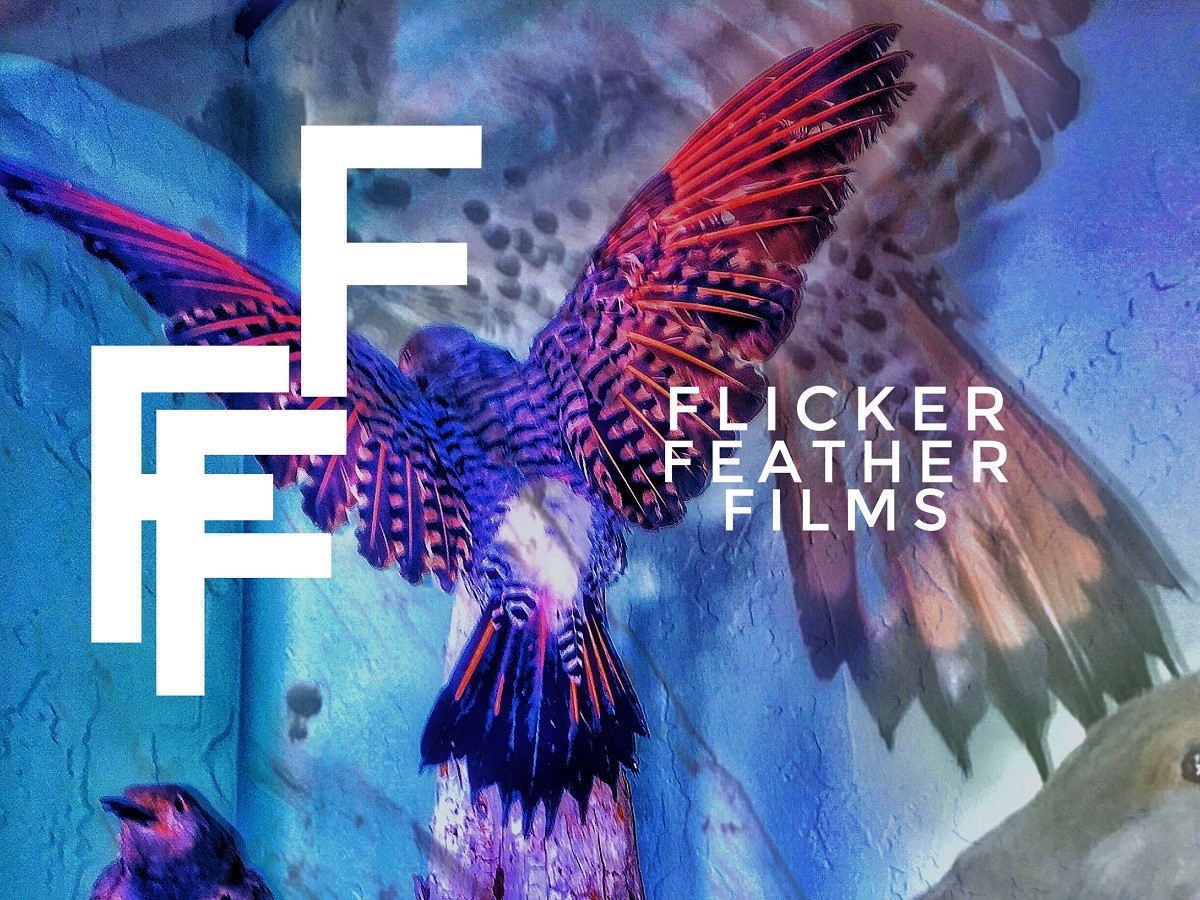 Flicker Feather Films