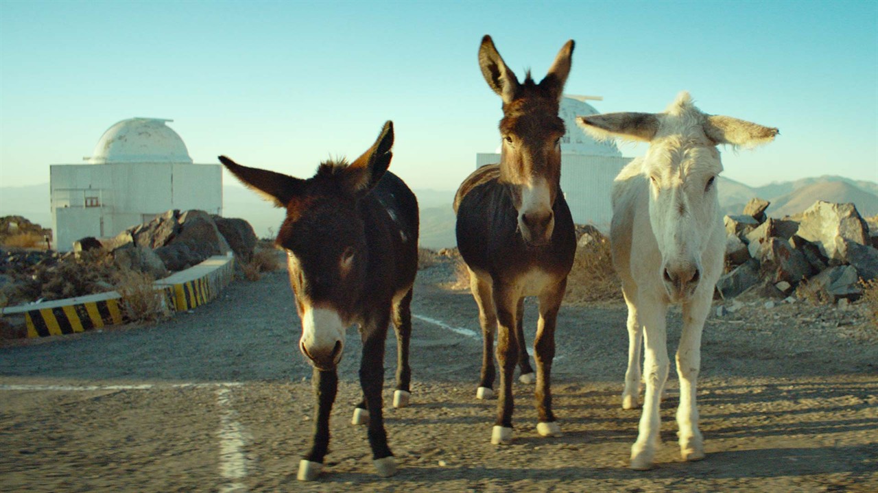 Oscar-Nominated Shorts 2026 – Documentary