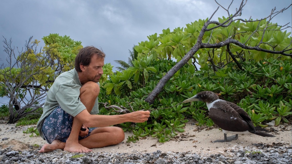 Alone on a Secret Atoll