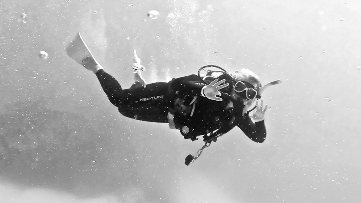 How to Kill a Mermaid